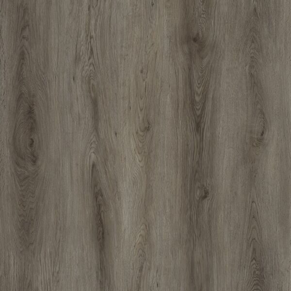 NEW SCOTTISH OAK 33208